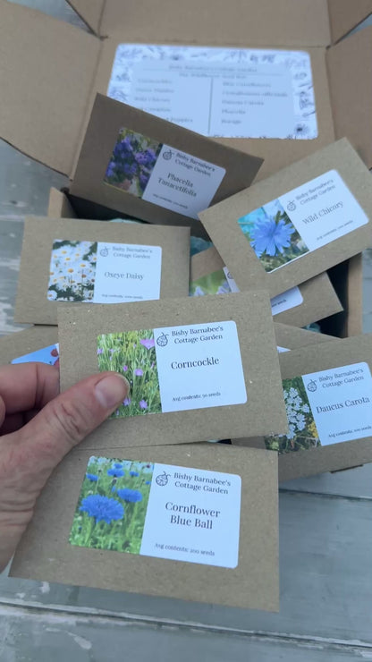 The Wildflower Seed Box