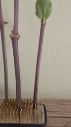 Ikebana Kenzan Flower Frogs (Various Sizes)