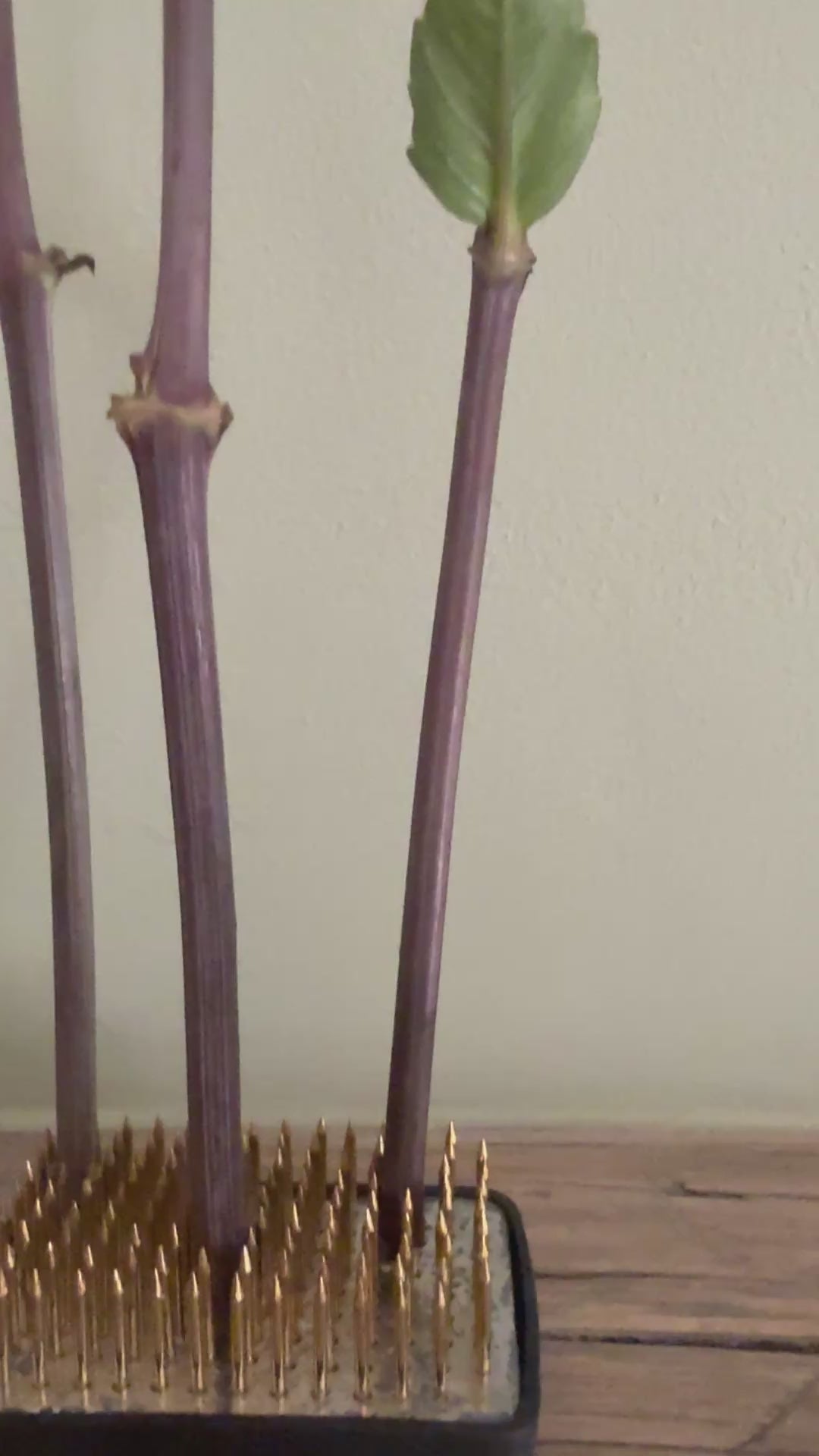 Ikebana Kenzan Flower Frogs (Various Sizes)