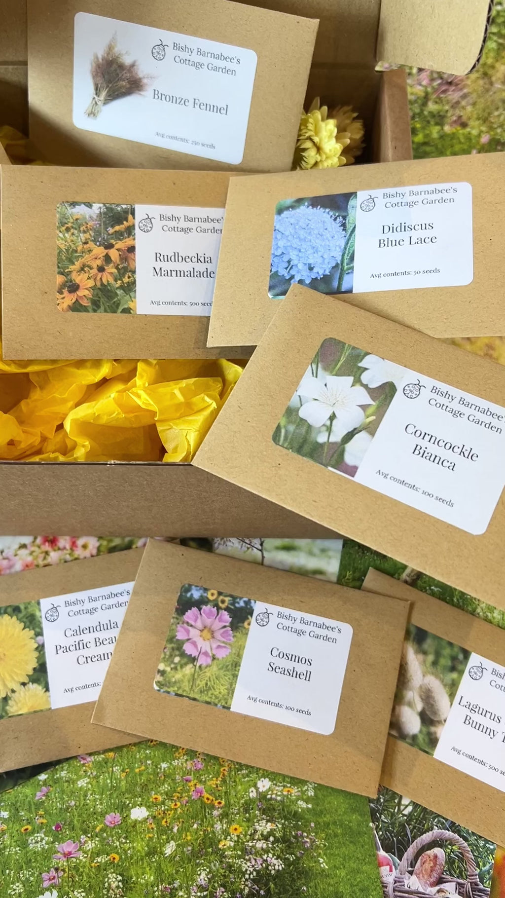 The Spring Seed Sowing Flower Box