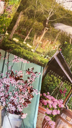 The Cutting Patch Beginners Flower Box
