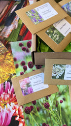 The Autumn Seed Sowing Flower Box