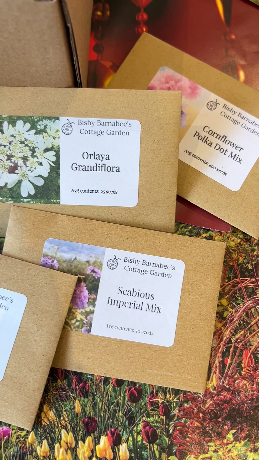 The Autumn Seed Sowing Flower Box