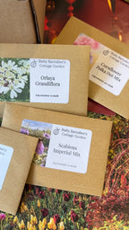 The Autumn Seed Sowing Flower Box