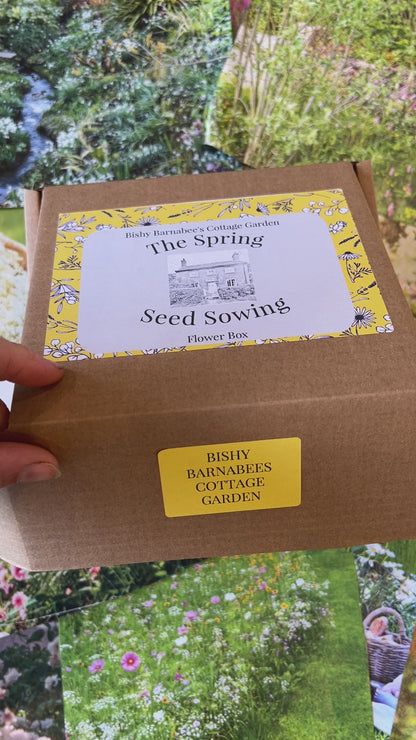 The Spring Seed Sowing Flower Box