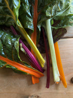 Chard Rainbow Mixed