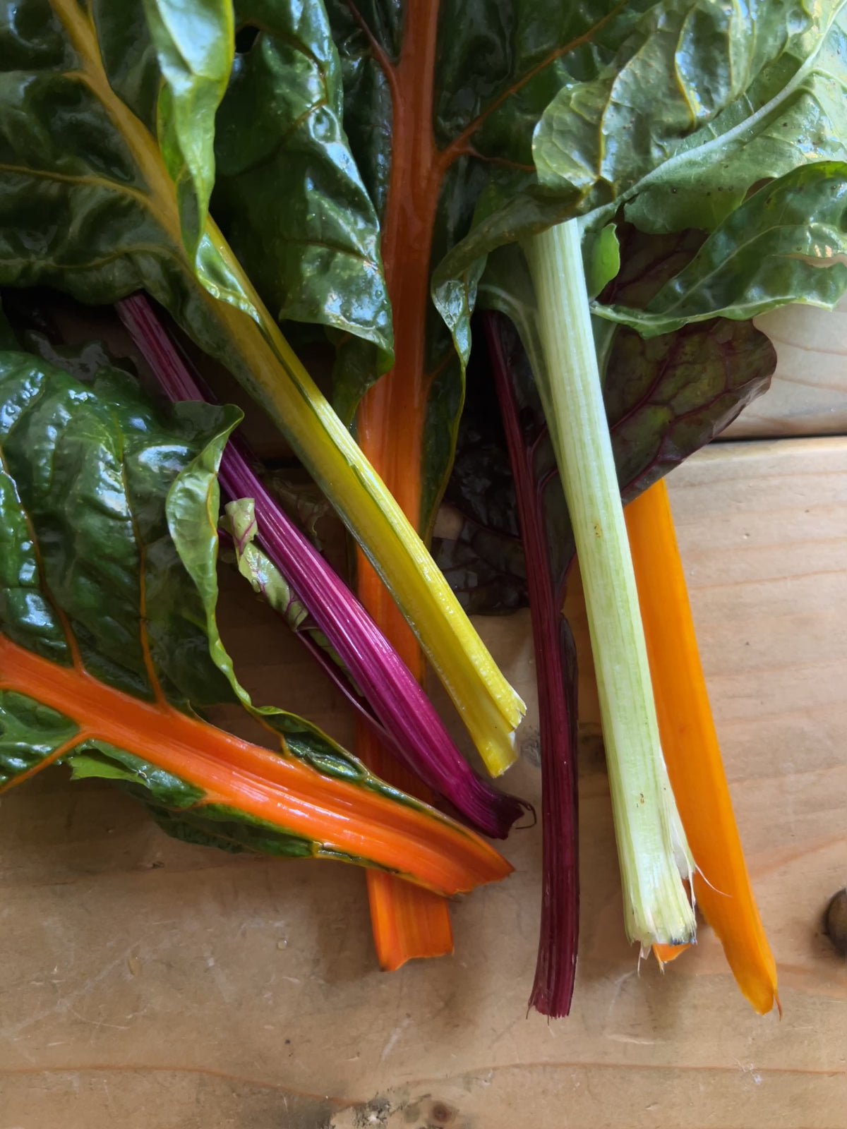 Chard Rainbow Mixed