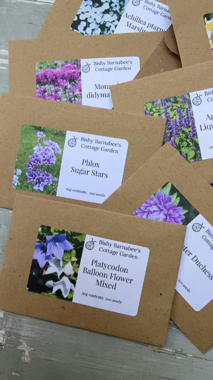 The Winter Seed Collection