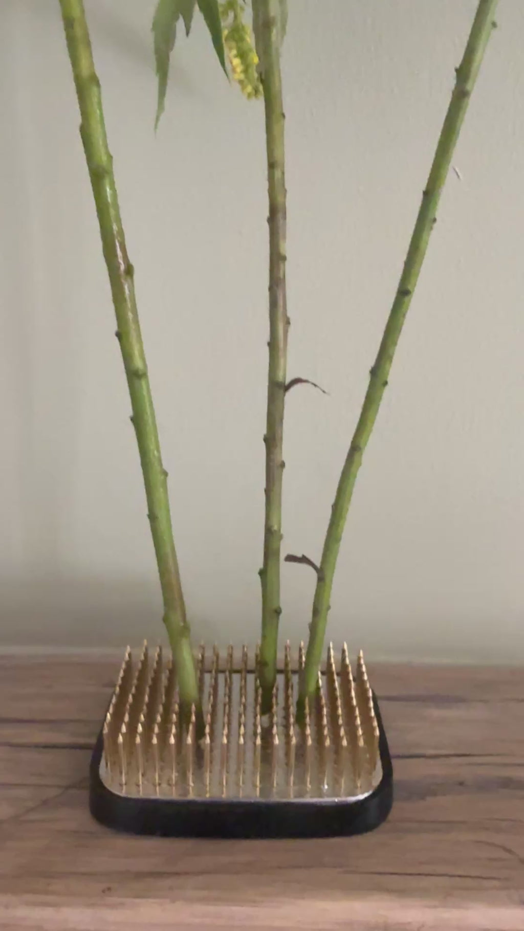 Ikebana Kenzan Flower Frogs (Various Sizes)