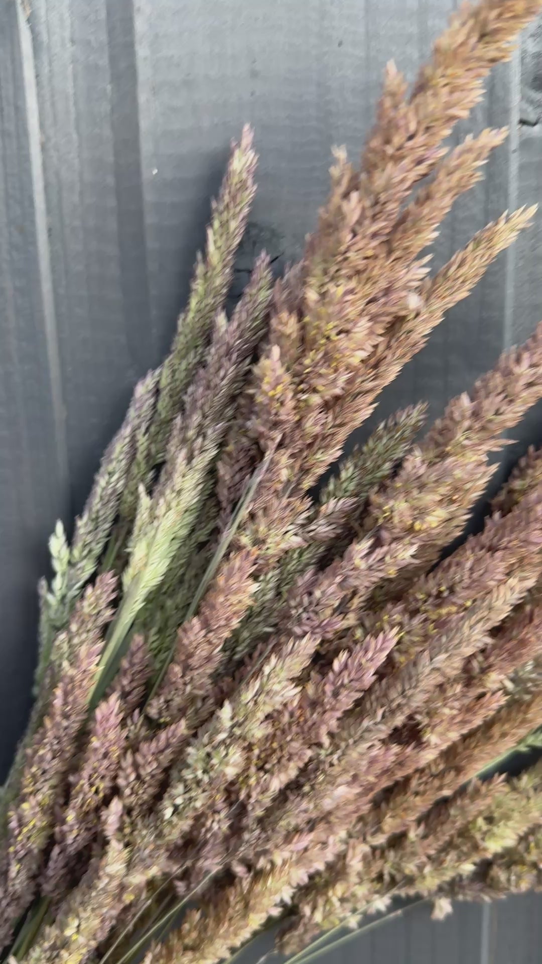 Grass Mixed Dried
