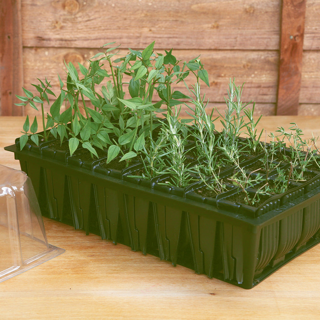 Haxnicks Rapid Rootrainers | 32 Cells, 8cm Deep