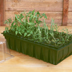 Haxnicks Rapid Rootrainers | 32 Cells, 8cm Deep