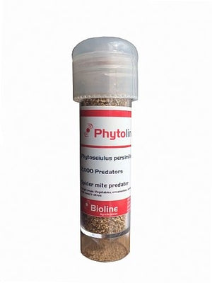 Red Spider Mite Killer – Phytoline tube of Phytoseiulus persimilis predators