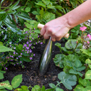 Burgon & Ball RHS Stainless Steel Dibber