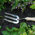 RHS Endorsed Stainless Steel Hand Fork by Burgon & Ball