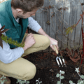 RHS Endorsed Stainless Steel Hand Fork by Burgon & Ball
