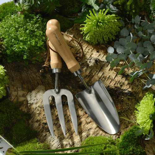 Tools and Accessories