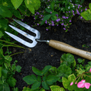 Burgon & Ball RHS Stainless Steel Mid-Handled Fork