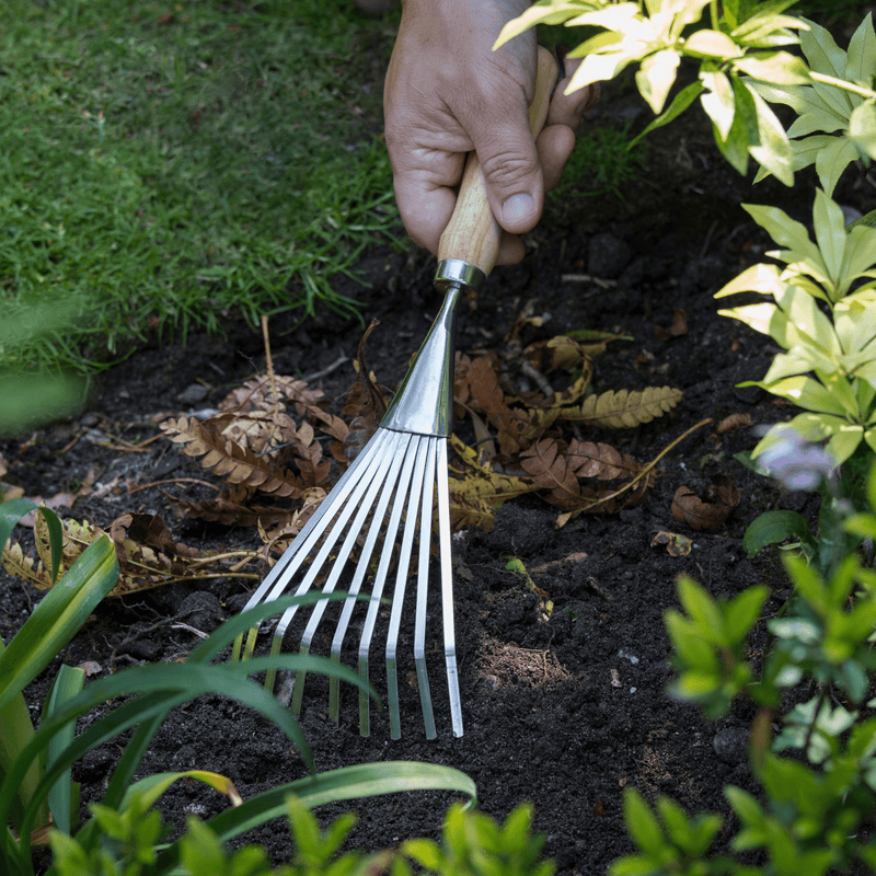 Cottage Home Rake Burgon & Ball RHS Stainless Steel Shrub Rake | Lifetime Guarantee ...