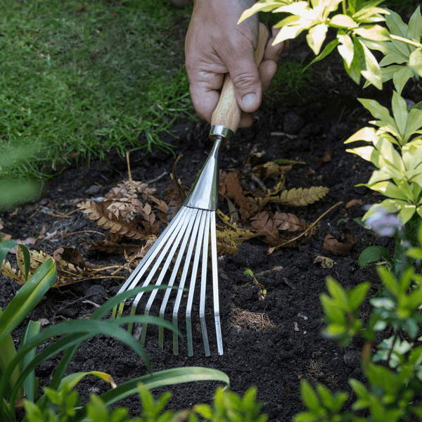 Burgon & Ball RHS Stainless Steel Shrub Rake