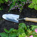 RHS Endorsed Stainless Steel Transplanter by Burgon & Ball
