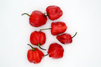 Scotch Bonnet Chilli – seven wrinkled red pods on a white background