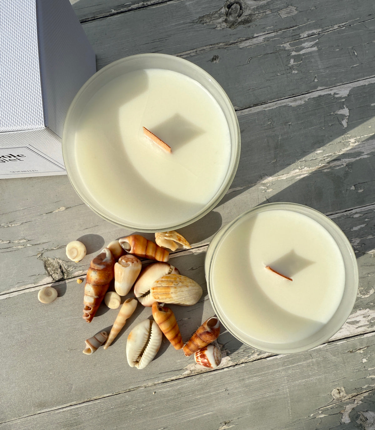 Two white Seychelles Scented Candles on weathered grey wood near seashells in sunlight