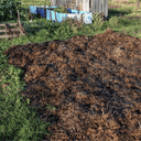 Dandy's Spent Mushroom Compost | Traditional Soil Improver