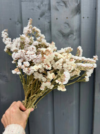 A hand holds a bouquet of Bishy Barnabees Cottage Garden's Statice Dried white flowers in front of a gray wooden wall.