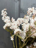 A close-up of Statice Dried by Bishy Barnabees Cottage Garden, featuring crinkled white petals and green stems arranged against a dark gray wooden background.