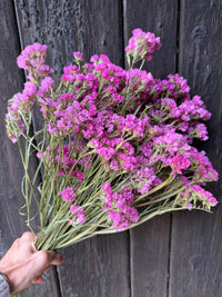 A hand holds a large bouquet of vibrant pink Statice Dried by Bishy Barnabees Cottage Garden, with green stems against a weathered dark wooden background.