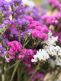 Close-up of Bishy Barnabees Cottage Garden Statice Dried bouquet, featuring purple, pink, and white Sea Lavender flowers with green stems against a softly blurred background.