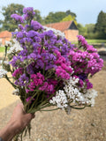 A hand displays a bouquet of Bishy Barnabees Cottage Garden Statice Dried flowers in purple, pink, and white outdoors, with blurred buildings, trees, and a gravel path in the background.