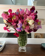 Clear glass vase of Sweet Pea Bishy Barnabee Mix on a table in a bright room