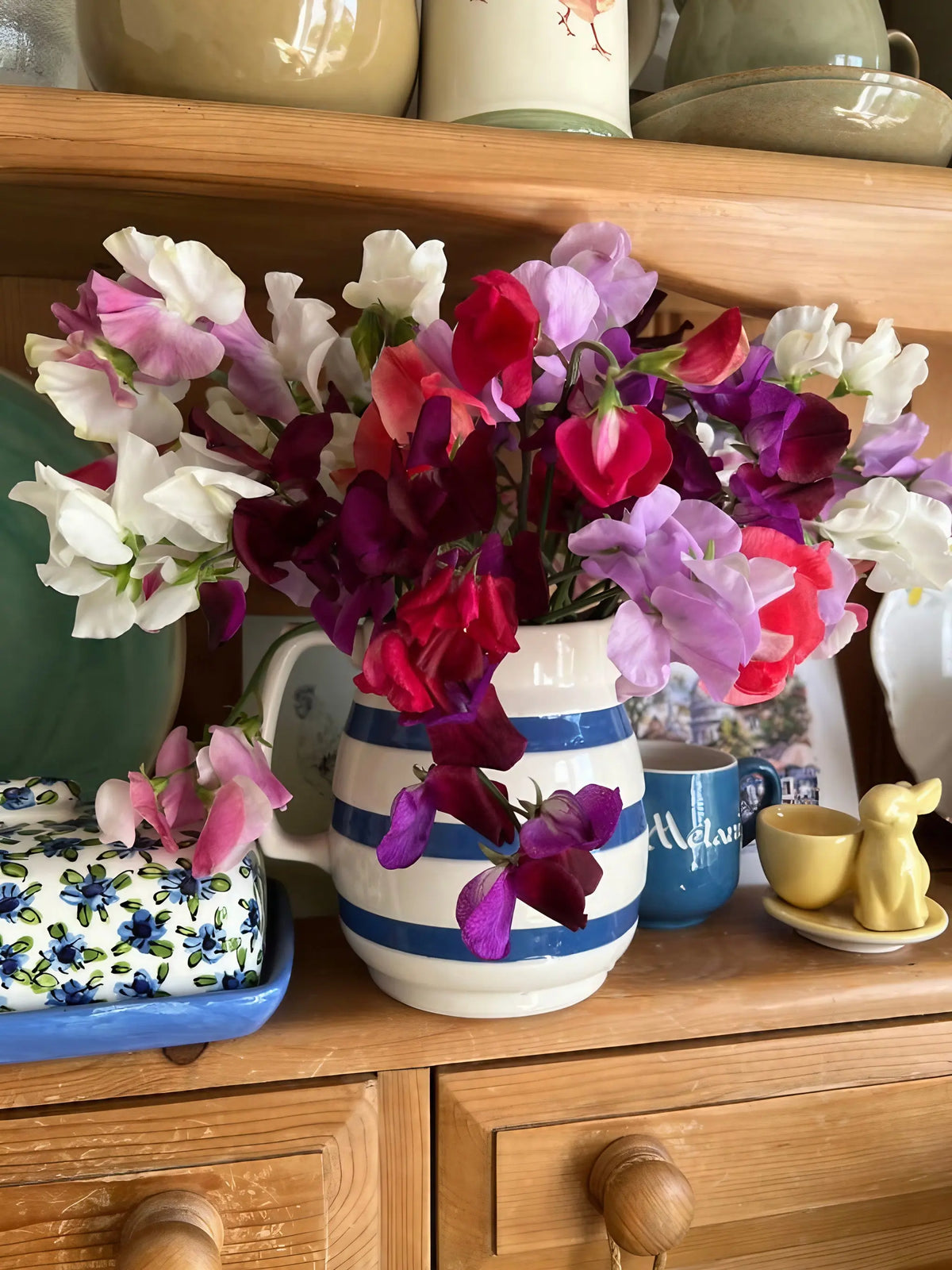 Striped vase of Sweet Pea Bishy Barnabee Mix with rabbit egg cups on a shelf