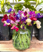 Glass jar of Sweet Pea Bishy Barnabee Mix on wood with potted plants behind