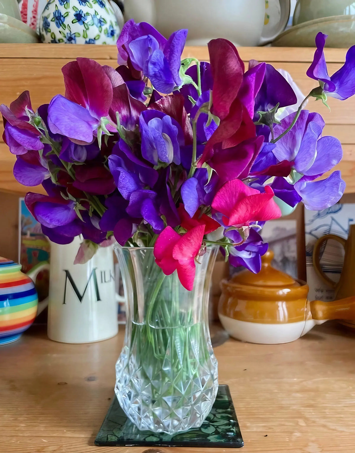 Sweet Pea Old Spice Starry Night – purple and pink flowers in a glass vase with mugs and teapot behind