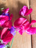 Sweet Pea Parfume Millennium – pink, purple and crimson blooms on a wooden surface