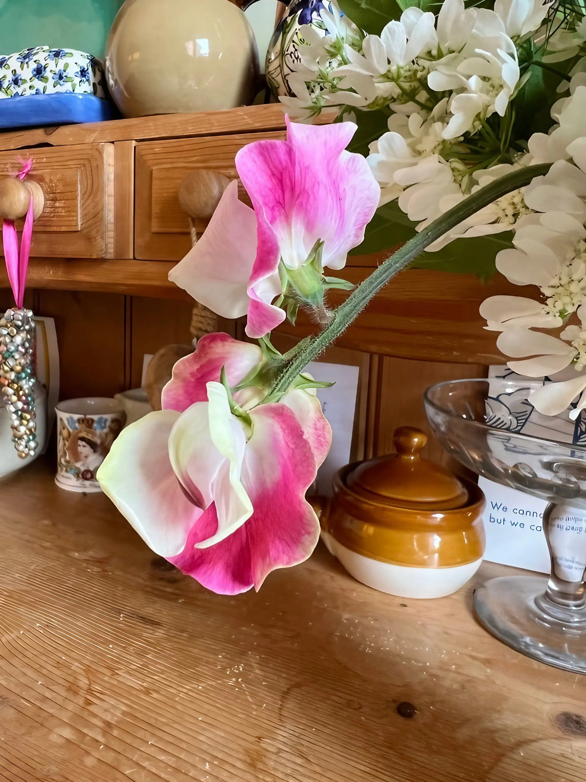 Pink and white Sweet Pea Parfume Promise flower on a wooden worktop with jars behind