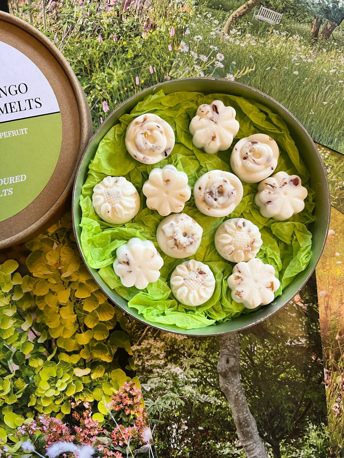 Round box of ten white Thai Lime & Mango Botanical Wax Melts on green tissue paper