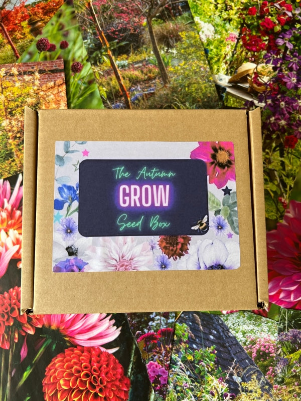 The Autumn Grow Seed Box