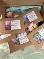 Biennial Cottage Garden Flower Box seed packets including Sweet William Indian Carpet and Hesperis