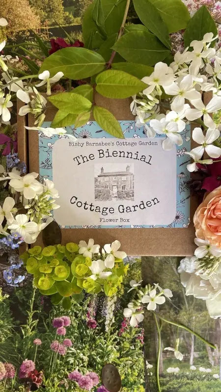 Biennial Cottage Garden Flower Box label with cottage illustration framed by flowers and greenery