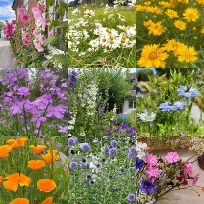 The Nostalgic Cottage Garden Flower Box (2 Options)