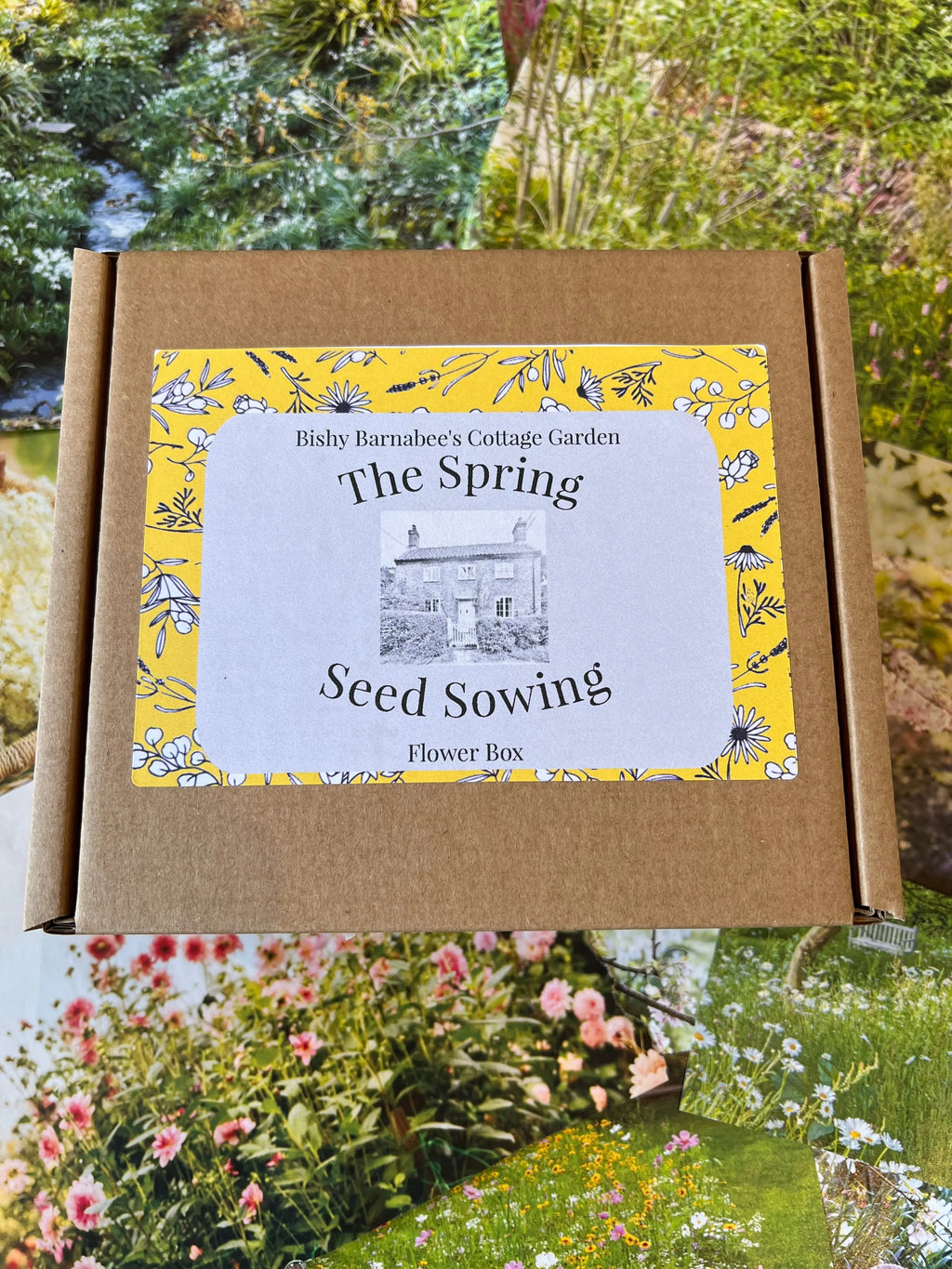 Spring Seed Sowing Flower Box label with yellow floral border on colourful garden backgrounds