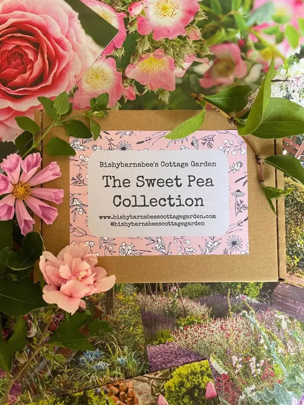 A box labeled "The Sweet Pea Collection" by Bishy Barnabees Cottage Garden is surrounded by pink long stem sweet peas and vibrant garden-themed backgrounds.
