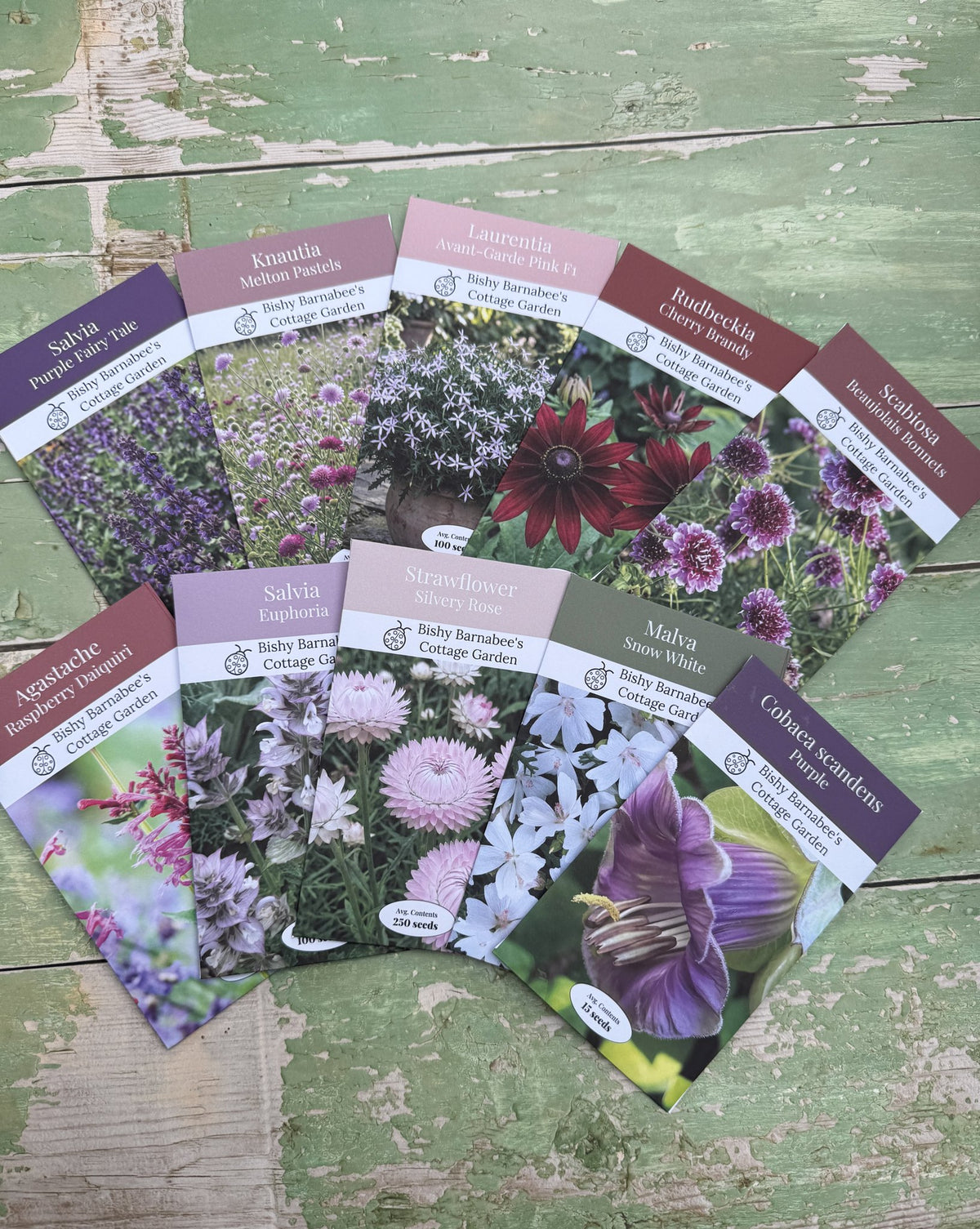 The Winter Seed Collection