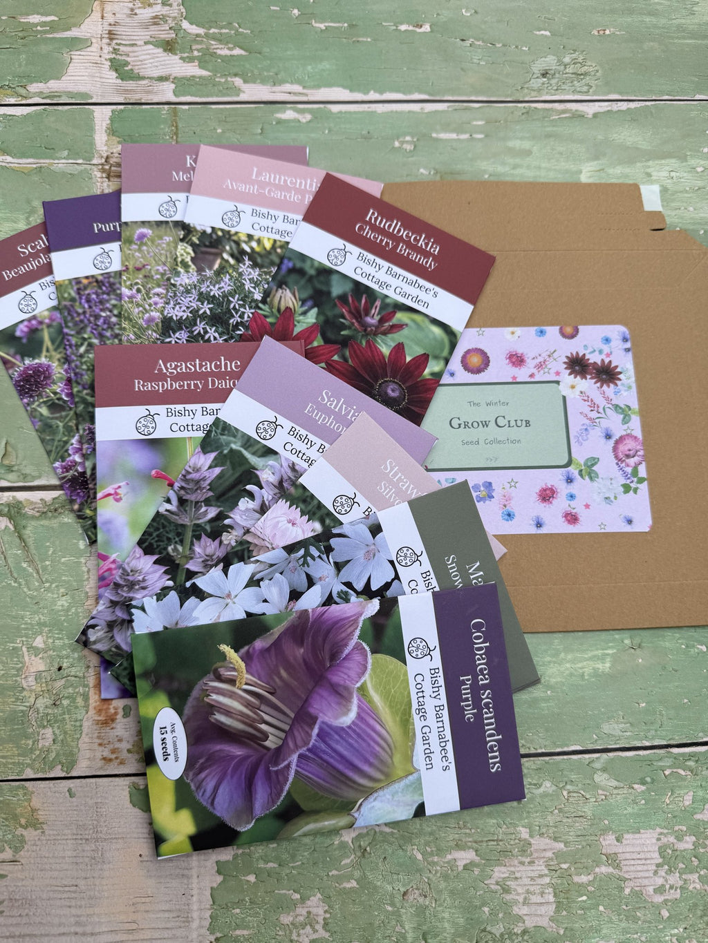 The Winter Seed Collection