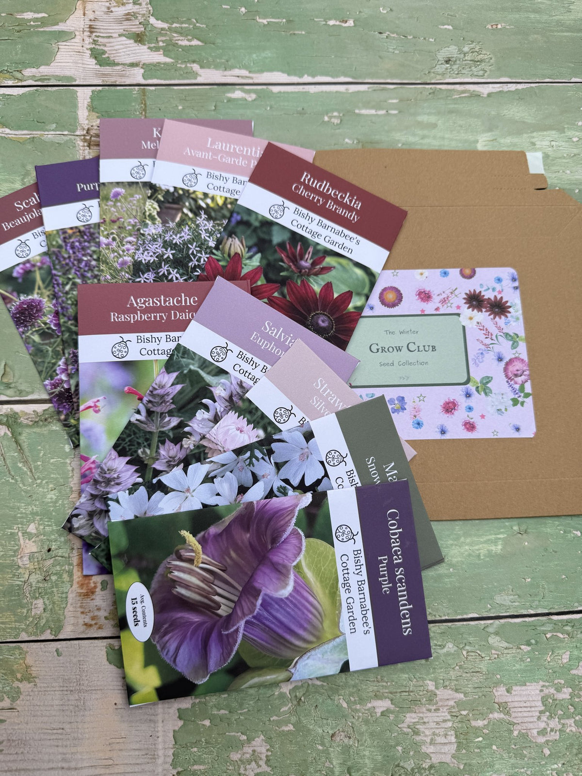 The Winter Seed Collection