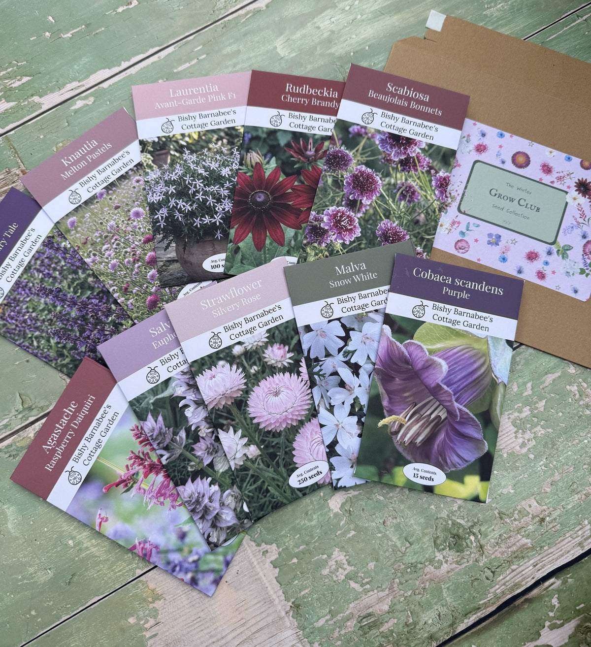 The Winter Seed Collection